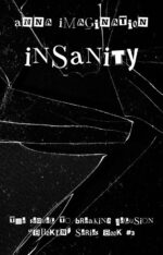 Insanity (Broken Book #3)